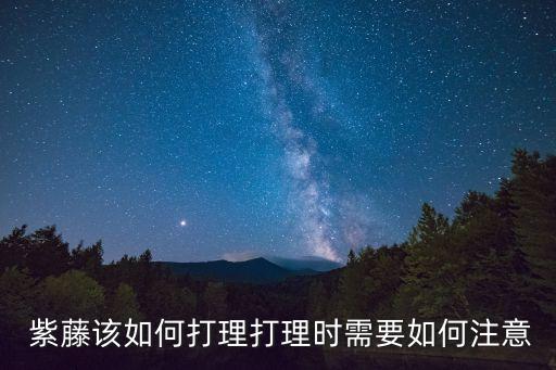 紫藤該如何打理打理時需要如何注意