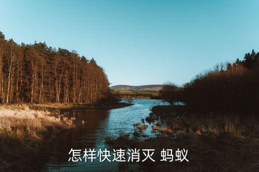 用什么農藥可殺死螞蟻最好,什么農藥能快速殺死螞蟻