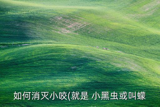 如何消滅小咬(就是 小黑蟲或叫蠓