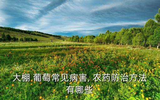 葡萄保葉用什么農(nóng)藥,葡萄一般打什么農(nóng)藥
