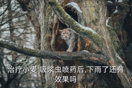 吸漿蟲(chóng)用什么農(nóng)藥治,什么農(nóng)藥治吸漿蟲(chóng)效果好