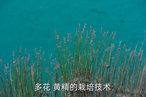 黃精要死用什么農藥,什么農藥能把鴿子要死