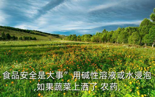 食品安全是大事”用堿性溶液或水浸泡,如果蔬菜上灑了 農(nóng)藥,