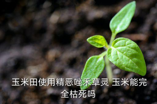 蟋蟀用什么農藥噴死,什么農藥可以噴死玉米