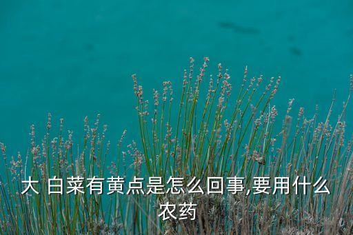 大 白菜有黃點是怎么回事,要用什么 農藥