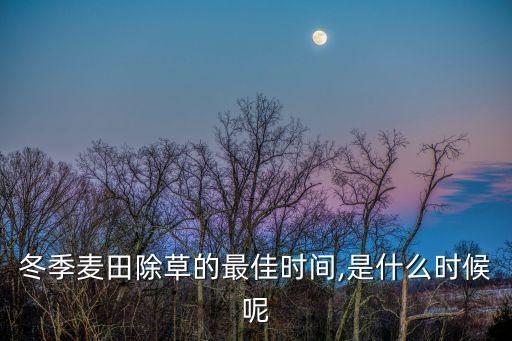 冬季麥田除草的最佳時(shí)間,是什么時(shí)候呢