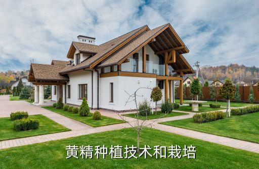 黃精打什么農藥最好,一般什么時間打農藥最好