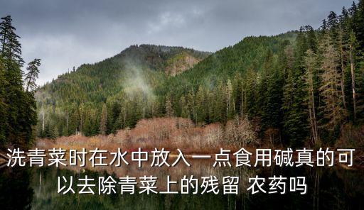 ,堿為什么能洗掉農藥