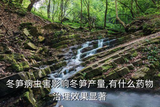 竹筍打什么農藥會死亡呢