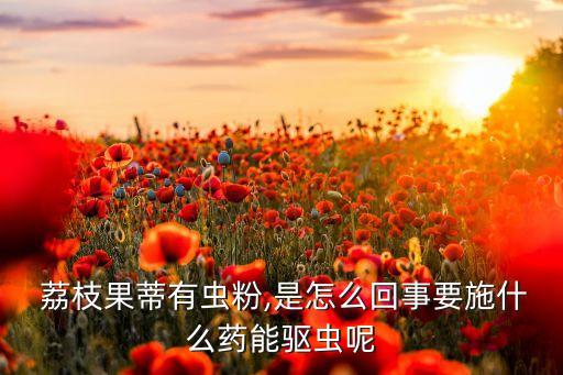  荔枝果蒂有蟲粉,是怎么回事要施什么藥能驅蟲呢