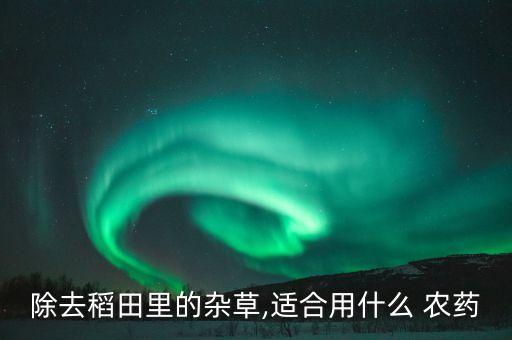強力除草劑打什么農藥,除草劑和農藥有什么區別