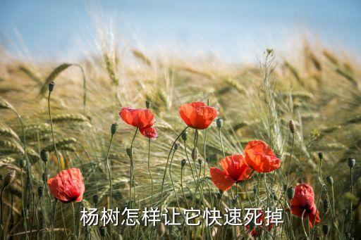 楊樹什么農藥能治死,治楊樹毛絮用什么藥