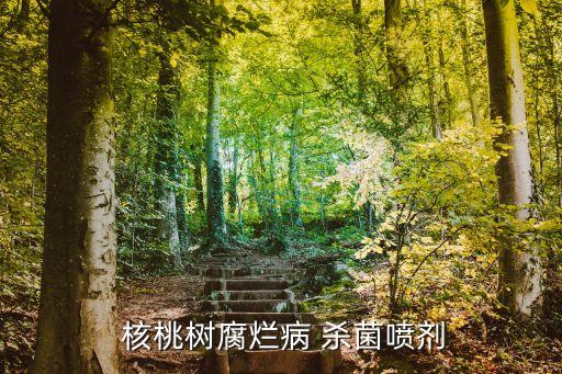  核桃樹腐爛病 殺菌噴劑