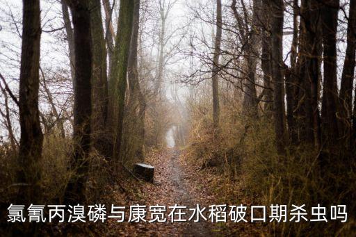 氯氰丙溴磷與康寬在水稻破口期殺蟲嗎
