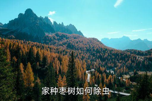 家種棗樹如何除蟲