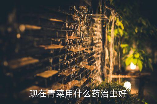 農(nóng)藥除蟲(chóng)用什么藥,家里除蟲(chóng)用什么藥最有效