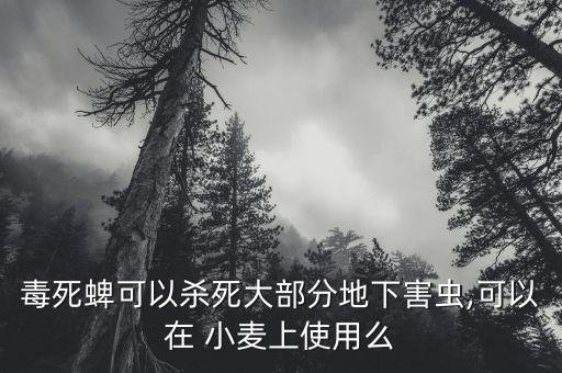 毒死蜱可以殺死大部分地下害蟲,可以在 小麥上使用么