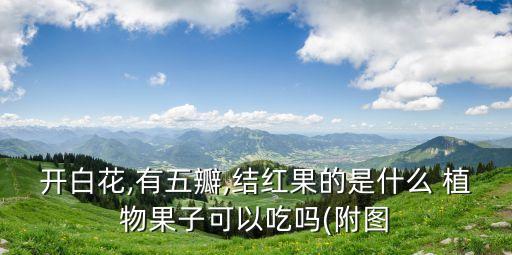 開白花,有五瓣,結(jié)紅果的是什么 植物果子可以吃嗎(附圖