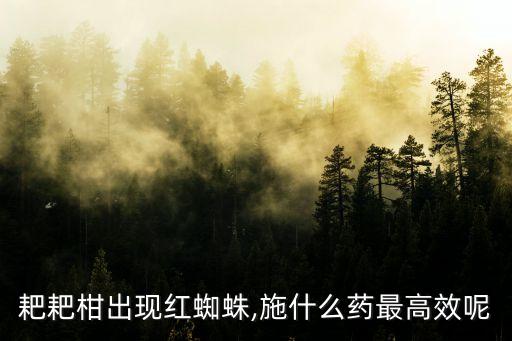 耙耙柑出現紅蜘蛛,施什么藥最高效呢