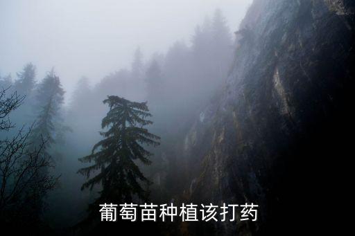  葡萄苗種植該打藥