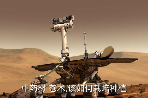 蒼術預防病害用什么農藥