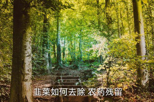  韭菜如何去除 農藥殘留