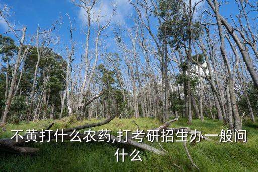 考研不黃打什么農藥,打考研招生辦一般問什么