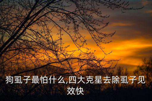 什么農(nóng)藥能殺狗虱,什么東西可以殺狗虱