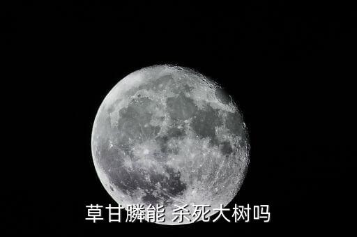 草甘膦能 殺死大樹嗎