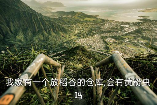 我家有一個放稻谷的倉庫,會有黃粉蟲嗎