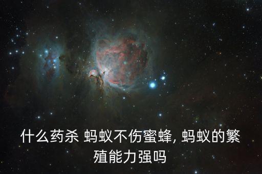 螞蟻用什么農(nóng)藥好用,什么農(nóng)藥殺螞蟻最有效