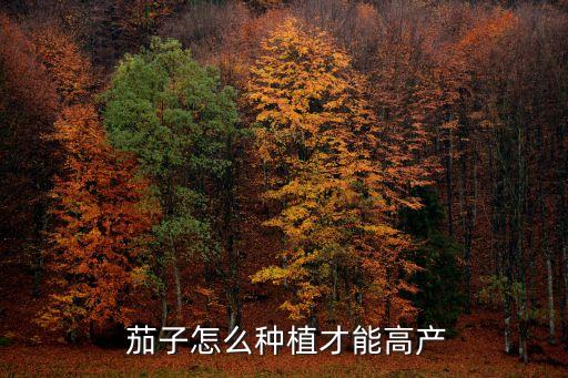  茄子怎么種植才能高產(chǎn)