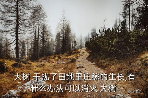 大樹 干擾了田地里莊稼的生長,有什么辦法可以消滅 大樹