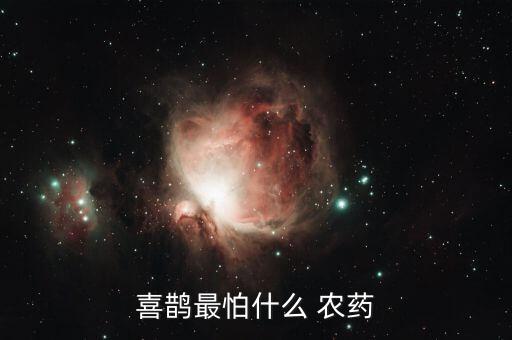 什么農藥會毒死小鳥,用什么藥可以毒死小鳥