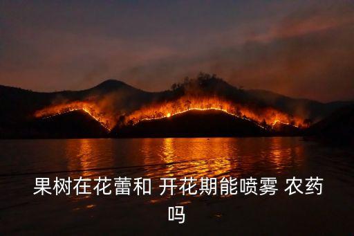  果樹在花蕾和 開花期能噴霧 農藥嗎