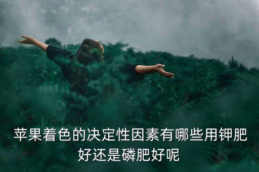  蘋果著色的決定性因素有哪些用鉀肥好還是磷肥好呢