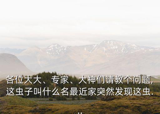 各位大大、專家、大神們請教個(gè)問題,這蟲子叫什么名最近家突然發(fā)現(xiàn)這蟲...