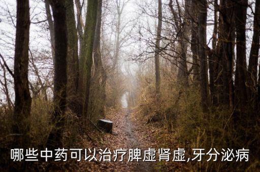 哪些中藥可以治療脾虛腎虛,牙分泌病