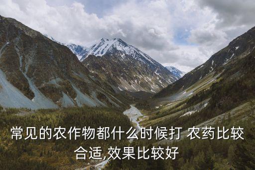 農(nóng)藥什么時(shí)聞打最好,農(nóng)藥空氣聞多了有什么后果