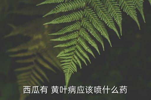 植物黃葉用什么農(nóng)藥治最好,農(nóng)藥能治植物治什么病