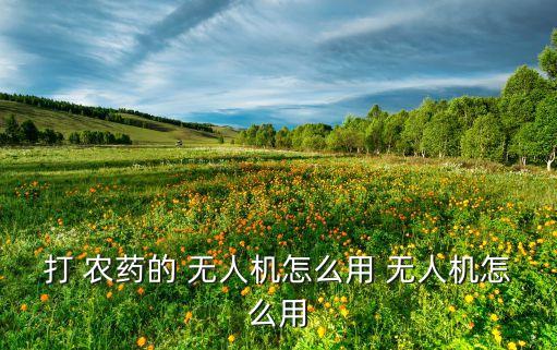無人機打農藥說明什么