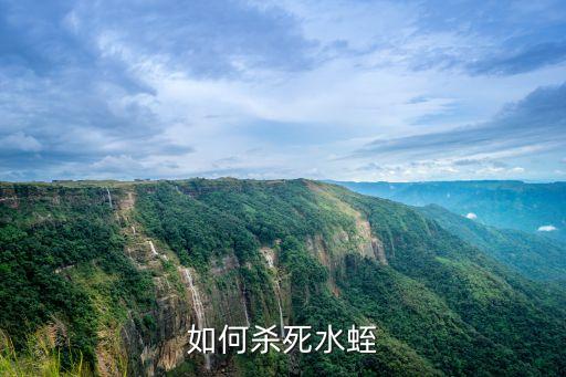 如何殺死水蛭