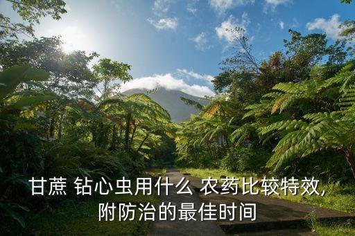 甘蔗 鉆心蟲用什么 農藥比較特效,附防治的最佳時間