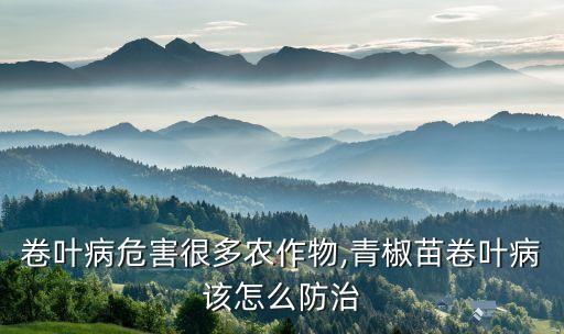 卷像打什么農藥,青菜卷葉用什么農藥
