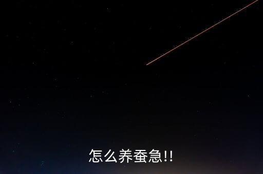 怎么養(yǎng)蠶急!!