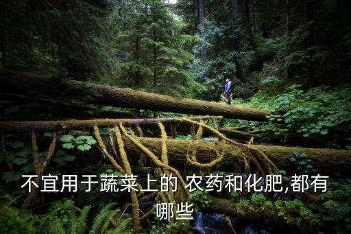 什么青菜不施農藥肥好吃,青菜用什么農藥殺蟲