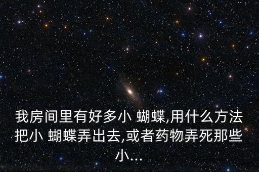 我房間里有好多小 蝴蝶,用什么方法把小 蝴蝶弄出去,或者藥物弄死那些小...