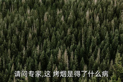 請問專家,這 烤煙是得了什么病