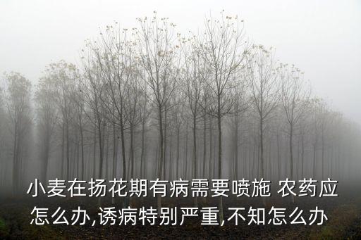  小麥在揚花期有病需要噴施 農藥應怎么辦,誘病特別嚴重,不知怎么辦