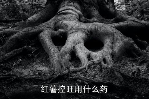 地瓜不長地瓜打什么農(nóng)藥